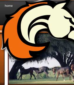 Return to Equus Realty Homepage